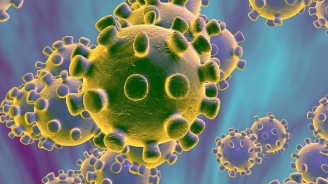 Çinli bilim adamları iki tip korona virüs olduğunu keşfetti