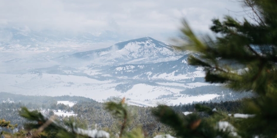 1 Ocak 2026 Reytinglerinde Zirve Kimin Oldu? Kızılcık Şerbeti Fırtınası!