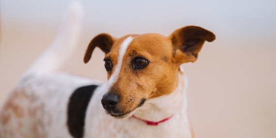 8220Tasacak-Bu-Deniz8221in-Eleni8217si-Ava-Yaman-Kimdir-featured