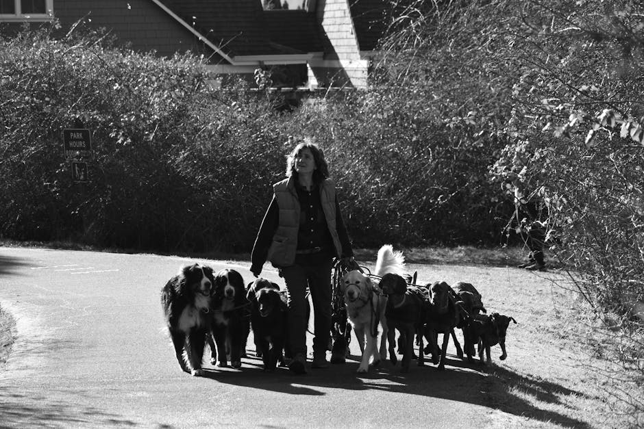 Kopek-Baligi-Katliami-Her-Saat-On-Binden-Fazla-Hayvan-Yok-Ediliyor-featured