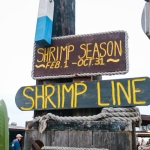 1-Subat-Reytinglerinde-Teskilat-Zirveyi-Kimseye-Birakmadi-featured