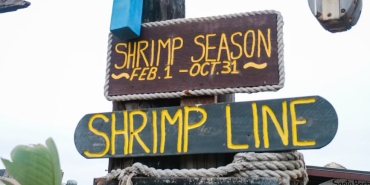 1-Subat-Reytinglerinde-Teskilat-Zirveyi-Kimseye-Birakmadi-featured