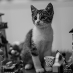 Blair-Waldorf-Lego-Friends-Setinde-Ortaya-Cikti-Hayranlara-Beklenmedik-Surpriz-featured