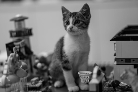 Blair-Waldorf-Lego-Friends-Setinde-Ortaya-Cikti-Hayranlara-Beklenmedik-Surpriz-featured