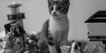 Blair-Waldorf-Lego-Friends-Setinde-Ortaya-Cikti-Hayranlara-Beklenmedik-Surpriz-featured