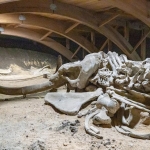 Masumiyet-Muzesi-Fusun8217un-Kupeleri-Tukendi-Fiyati-Tartisma-Yaratti-featured