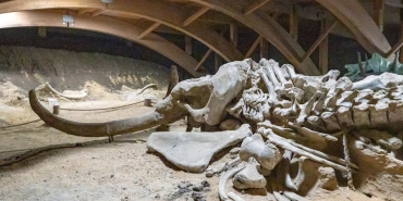 Masumiyet-Muzesi-Fusun8217un-Kupeleri-Tukendi-Fiyati-Tartisma-Yaratti-featured