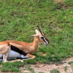 Pinar-Deniz-Nuri-Bilge-Ceylan8217in-Yeni-Filminde-Basrol-Oynayacak-featured