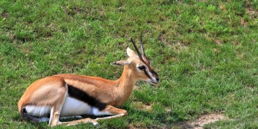 Pinar-Deniz-Nuri-Bilge-Ceylan8217in-Yeni-Filminde-Basrol-Oynayacak-featured