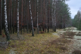 Yali-Capkini-Zirveden-Inmiyor-Sonbaharin-En-Cok-Izlenen-Dizisi-Oldu-featured