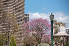 98.-Oscar-Toreni-Yaklasiyor-Tarih-Yayin-ve-Aday-Beklentileri-featured