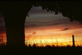 Kendi-Filmlerini-Goremeden-Olen-Oyuncular-Aci-Bir-Miras-featured