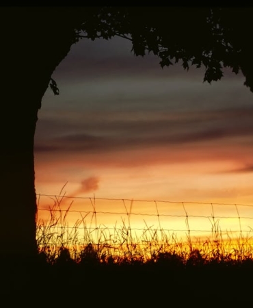 Kendi-Filmlerini-Goremeden-Olen-Oyuncular-Aci-Bir-Miras-featured