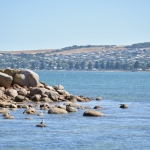 Ryan-Gosling8217li-8216The-Fall-Guy8217-Gisede-Mutevazi-Baslangic-Yapti-featured